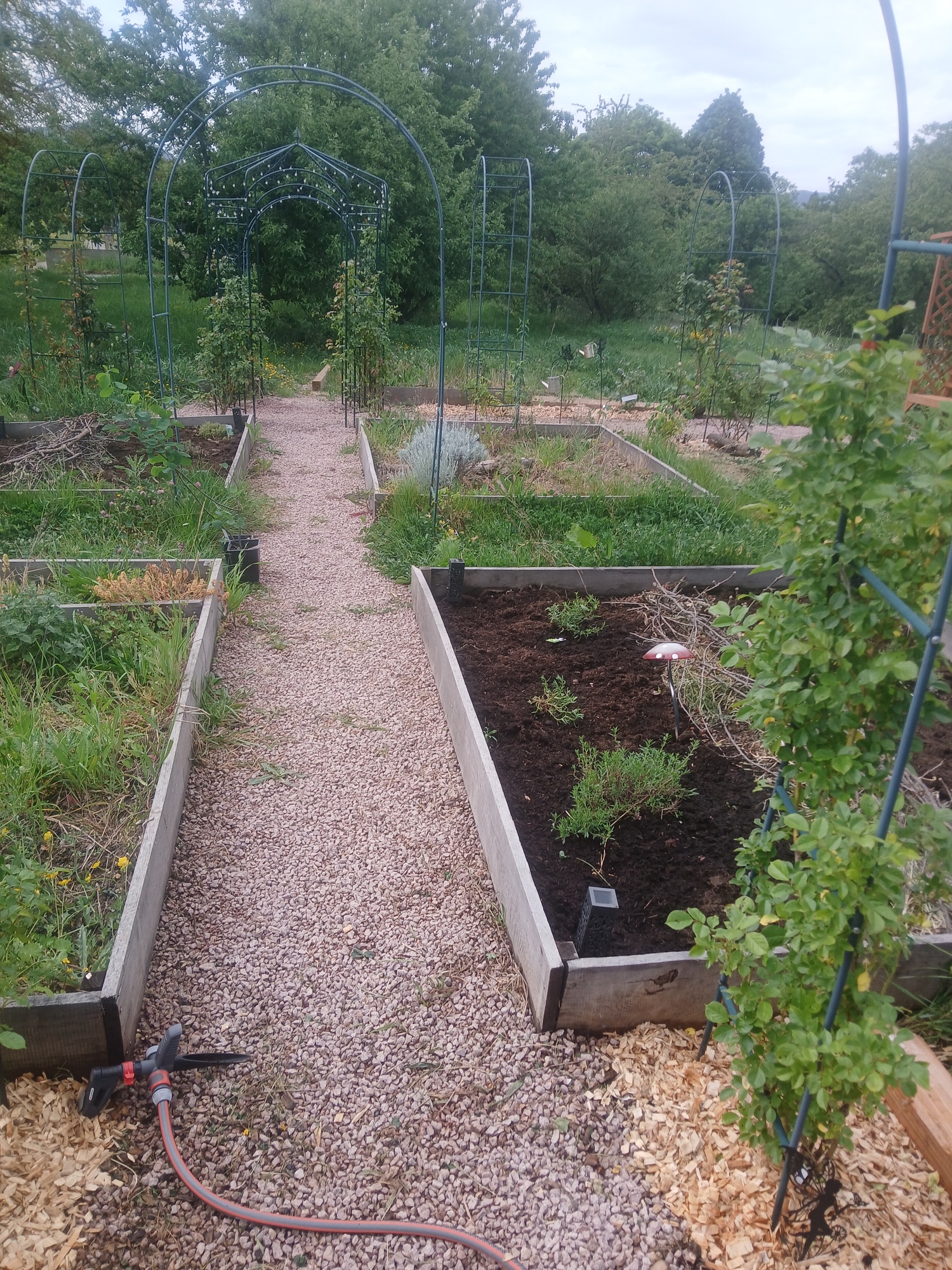 Le potager du Jardin Aroma, Epfig